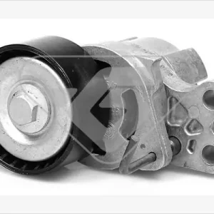Oferta limitowana Rolka napinacza, pasek klinowy wielorowkowy HUTCHINSON T0071